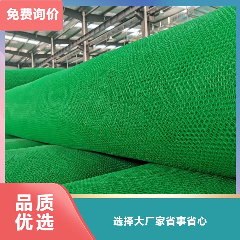 三维植被网 复合土工膜自营品质有保障