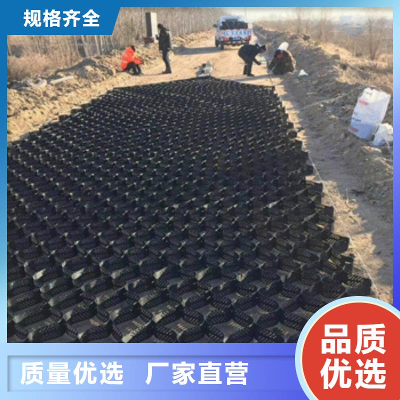 土工格室_护坡土工网甄选好厂家
