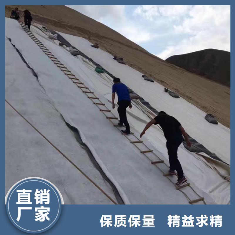 三维复合排水网玻纤土工格栅型号全价格低