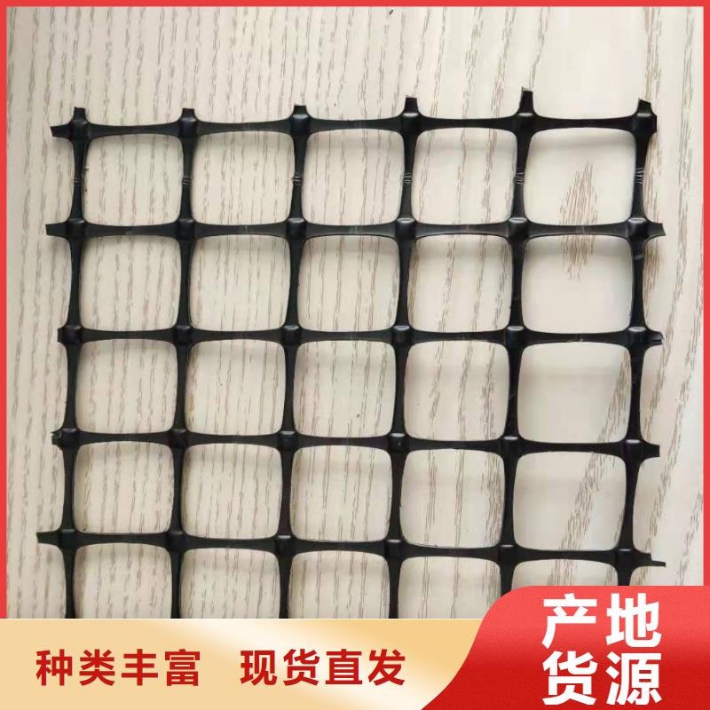 塑料土工格栅_护坡土工网专注生产N年