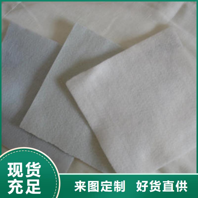 土工布涤纶土工格栅交货准时