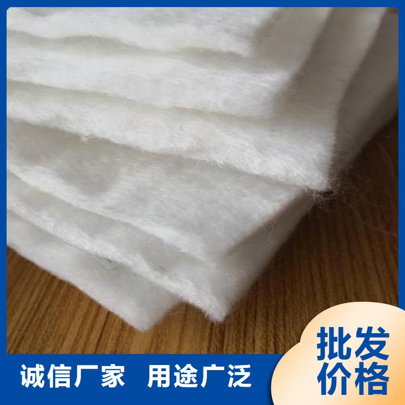 土工布单向塑料土工格栅用心细节