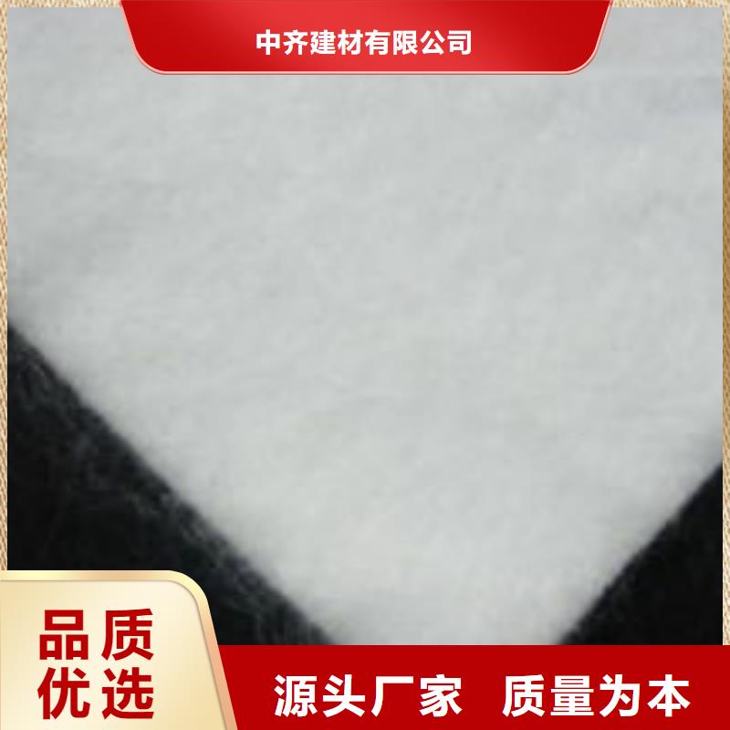 土工布HDPE土工膜多种规格供您选择