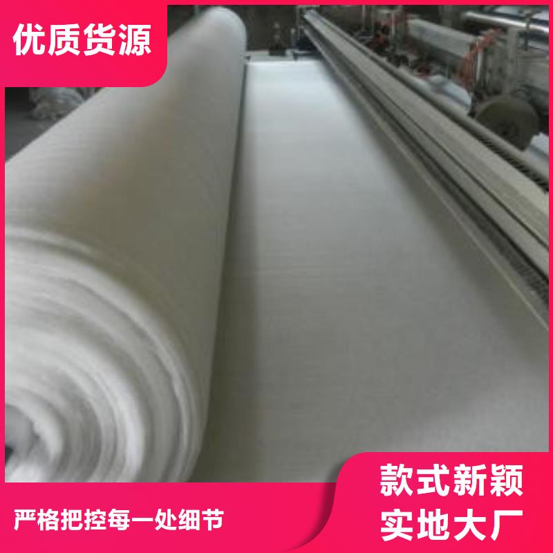 土工布涤纶土工格栅交货准时