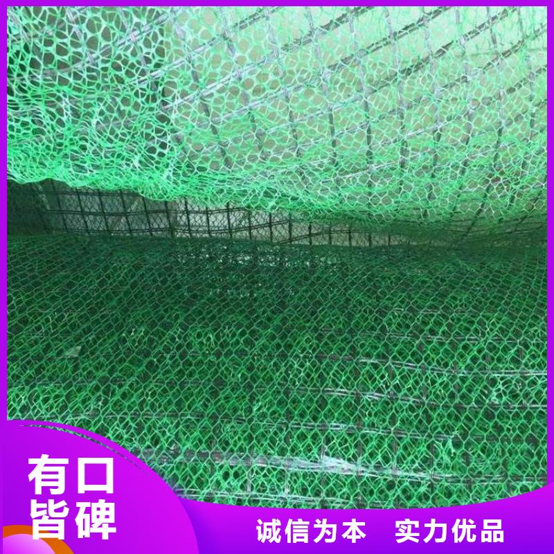 三维植被网-【透水土工布】工厂认证