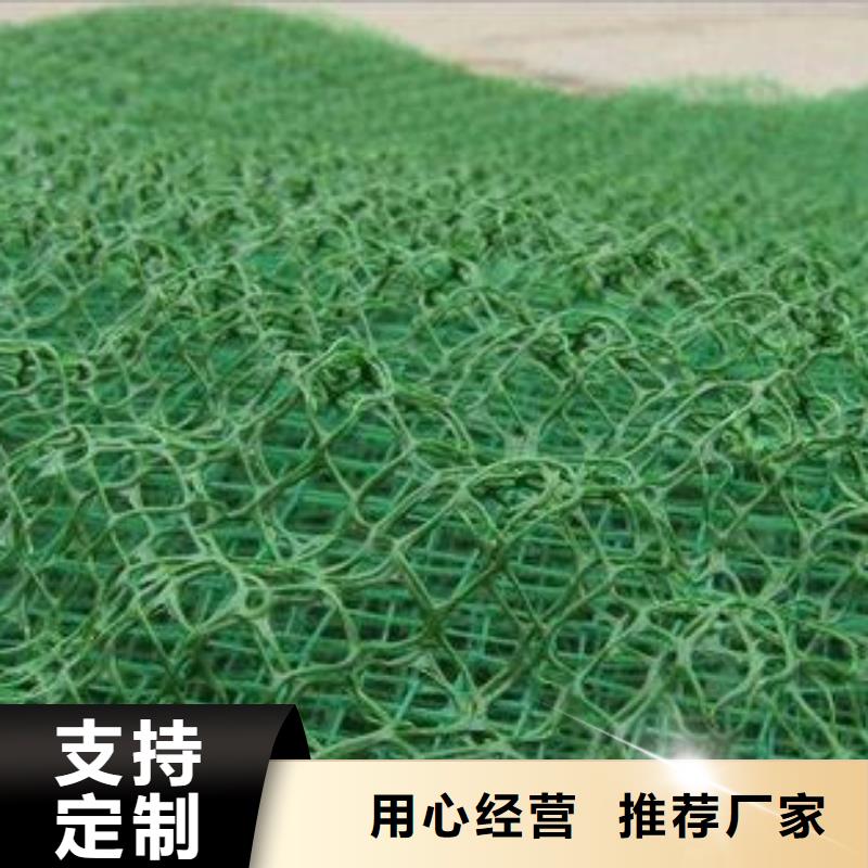 三维植被网-【涤纶格栅】大厂家实力看得见