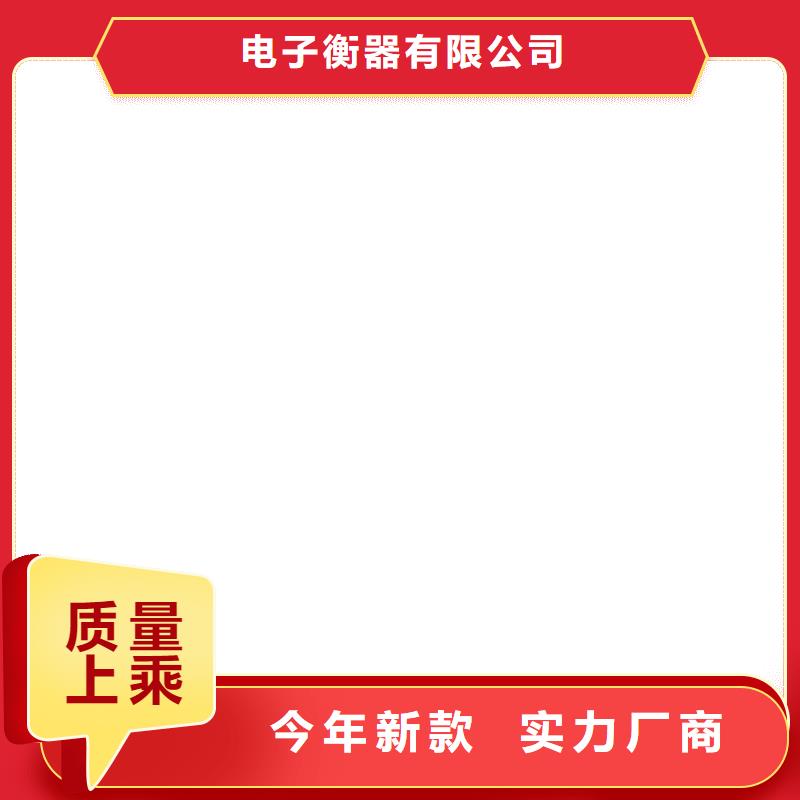 汽车衡咨询服务