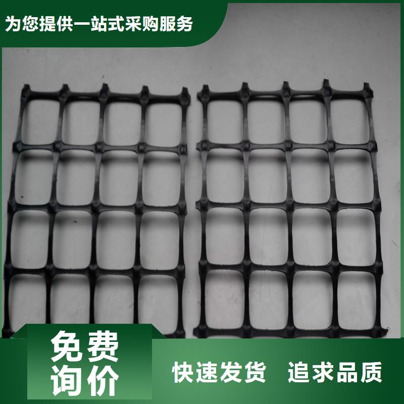 双向塑料土工格栅价格