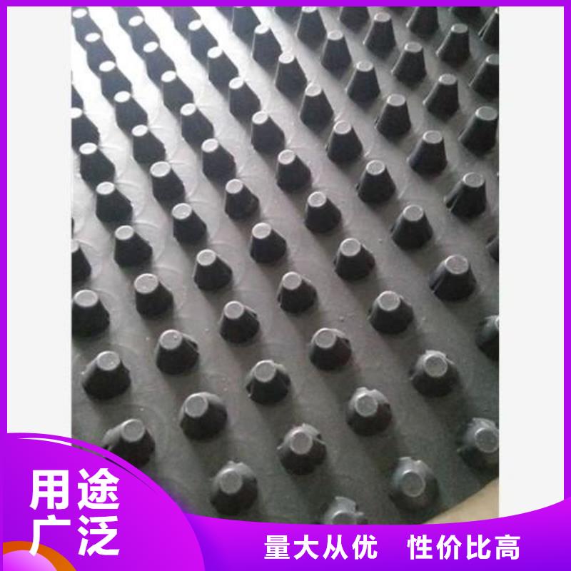 蓄排水板_三维土工网垫精工制作