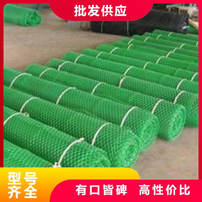 三维植被网加筋土工网垫EM4植被网护坡加筋