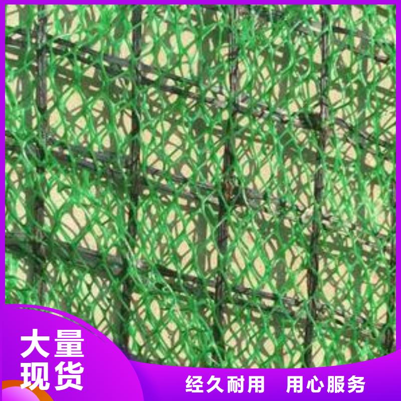 三维土工网垫价格