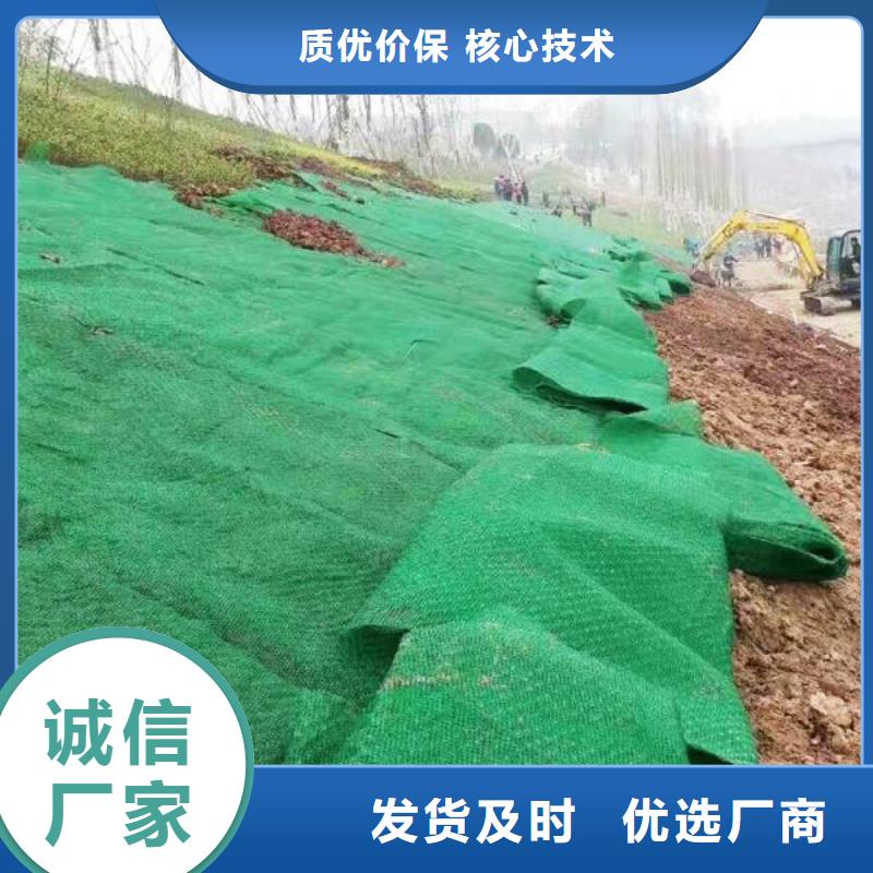 三维土工网垫价格