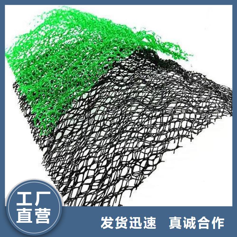 三维土工网垫价格