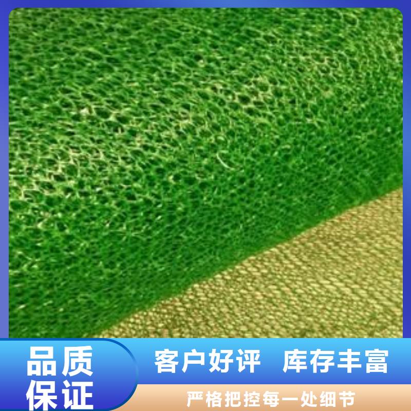 三维土工网垫价格