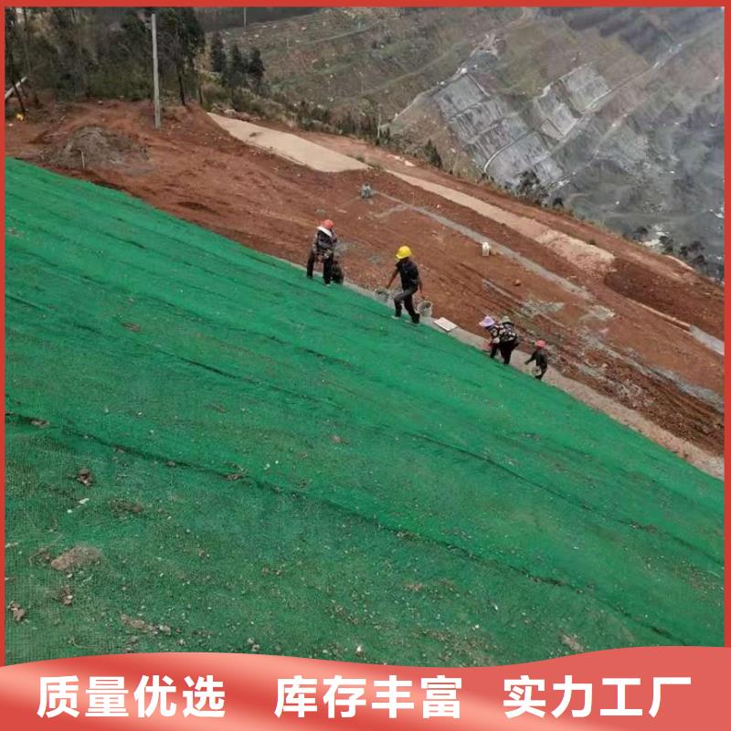 护坡植草三维网-三维植被网厂家走量批发