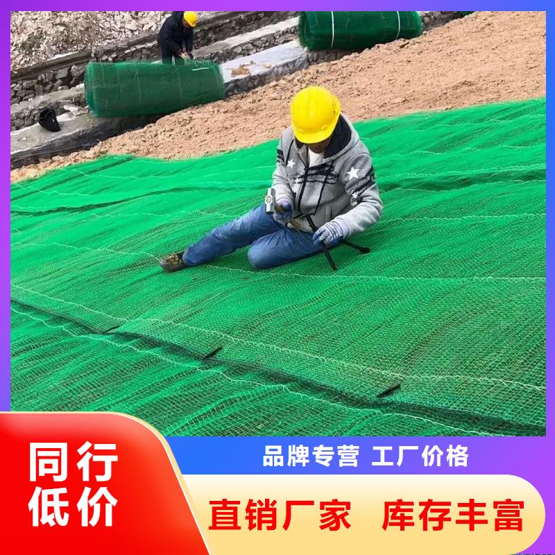 三维植被网三维土工网垫型号全价格低