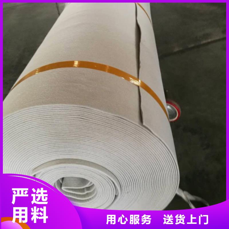 工程土工布_海水养殖土工膜_2025价格