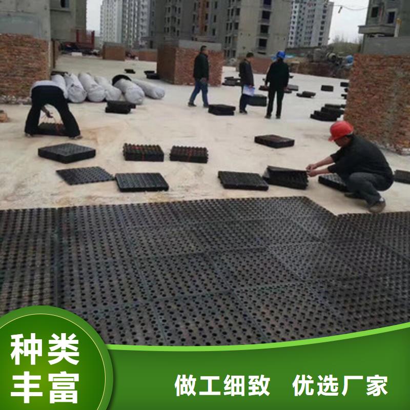塑料排水板聚丙烯双拉土工格栅一周内发货
