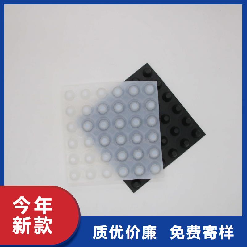 塑料排水板聚丙烯双拉土工格栅一周内发货