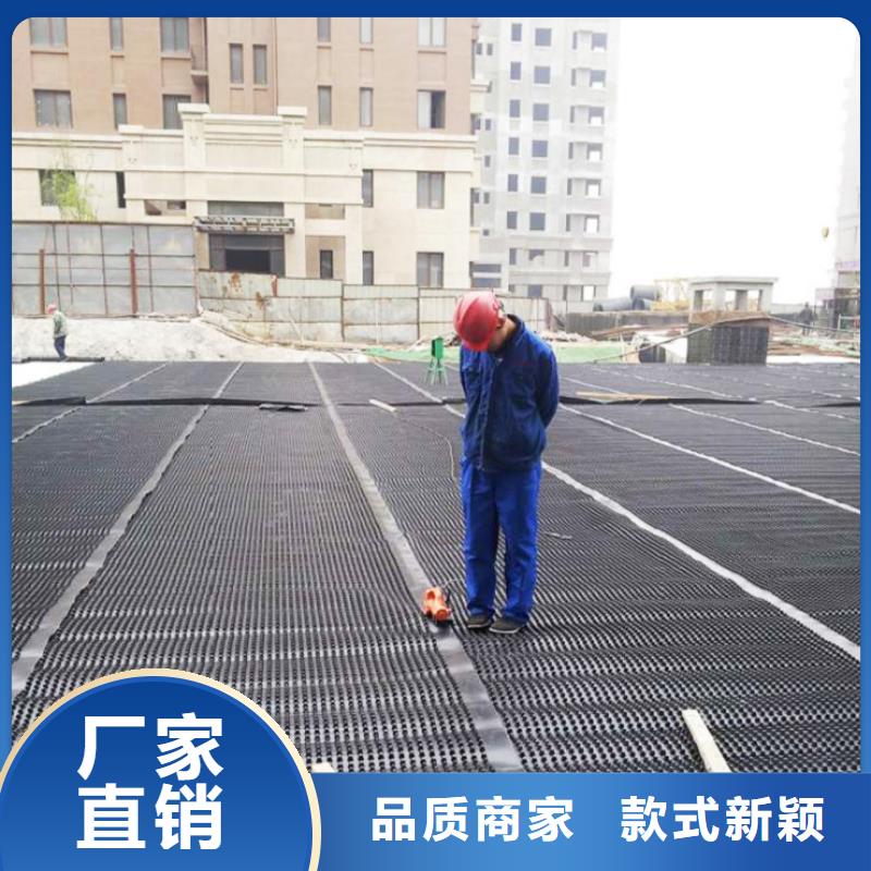 塑料排水板聚丙烯双拉土工格栅一周内发货