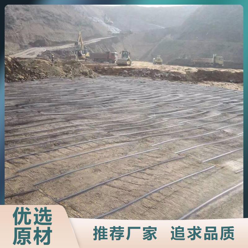 陵水县经编涤纶土工格栅厂家防渗反滤道路养护环保防尘