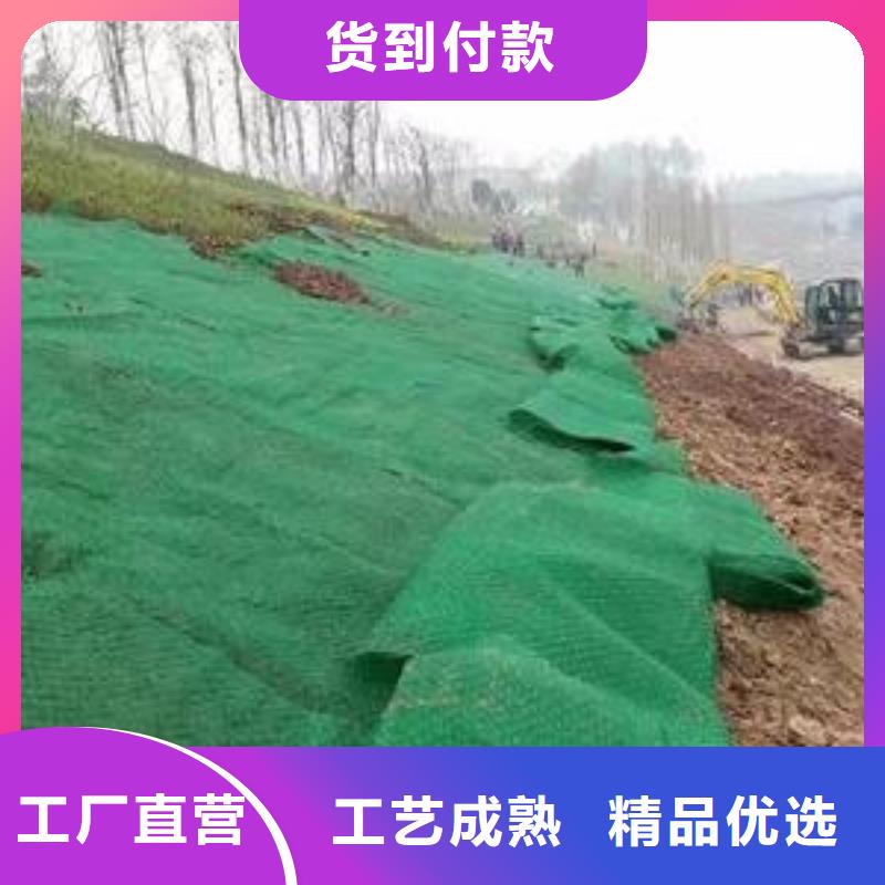 公路护坡三维植被网批发生产