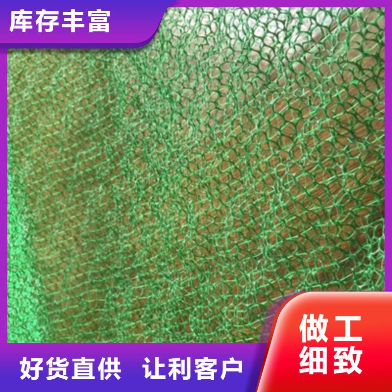 三维植被网|三维土工网垫【三维植被网厂家】