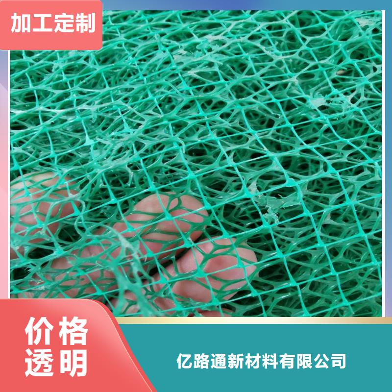 三维植草网——三维植被网批发厂家_欢迎咨询