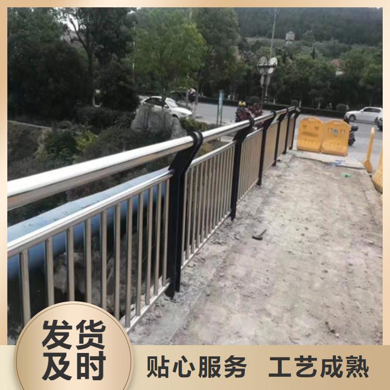 专业销售镀锌管喷塑道路护栏厂家