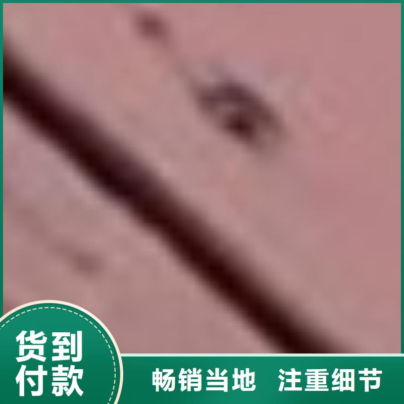 护栏河道护栏全品类现货