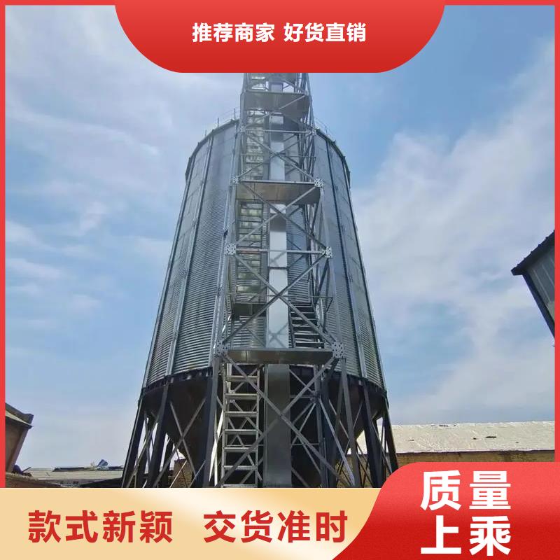 专业销售大型立式粮食筒仓厂家