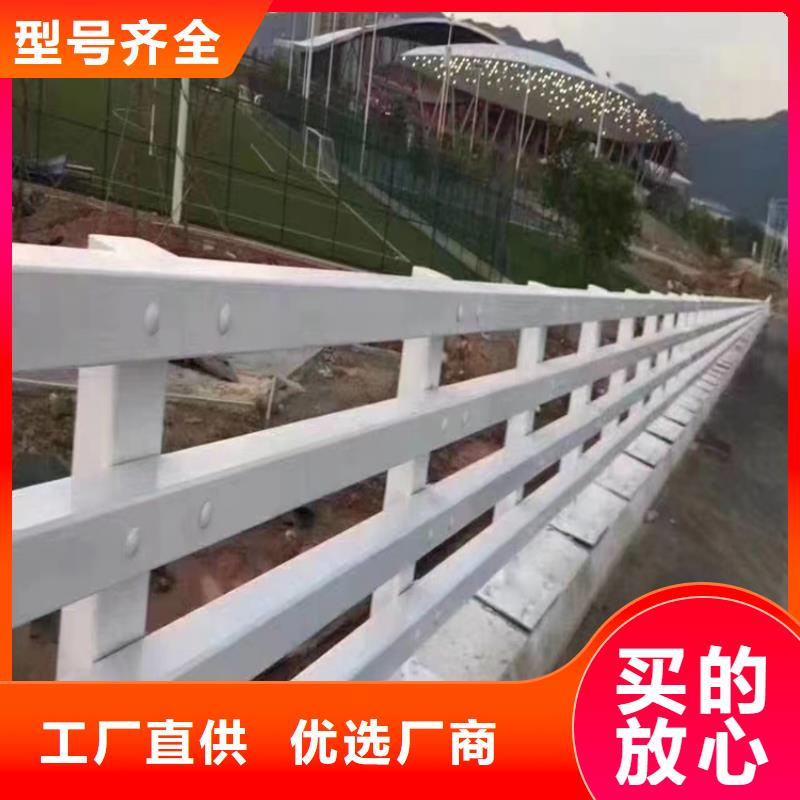 泌阳县交通道路隔离栏-多年大厂