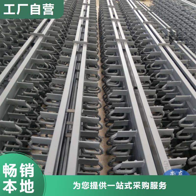 销售100型钢梳齿板型桥梁伸缩缝的本地厂家