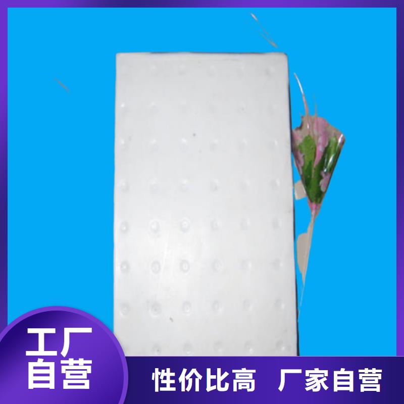 板式橡胶支座桥梁橡胶支座品质服务