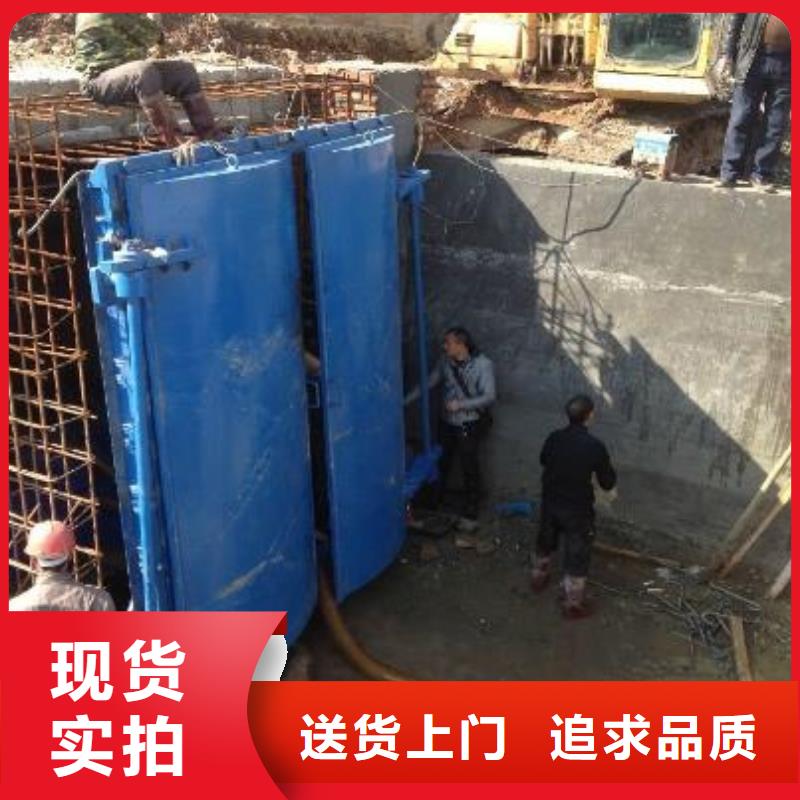 拍门-双向止水闸门有实力有经验