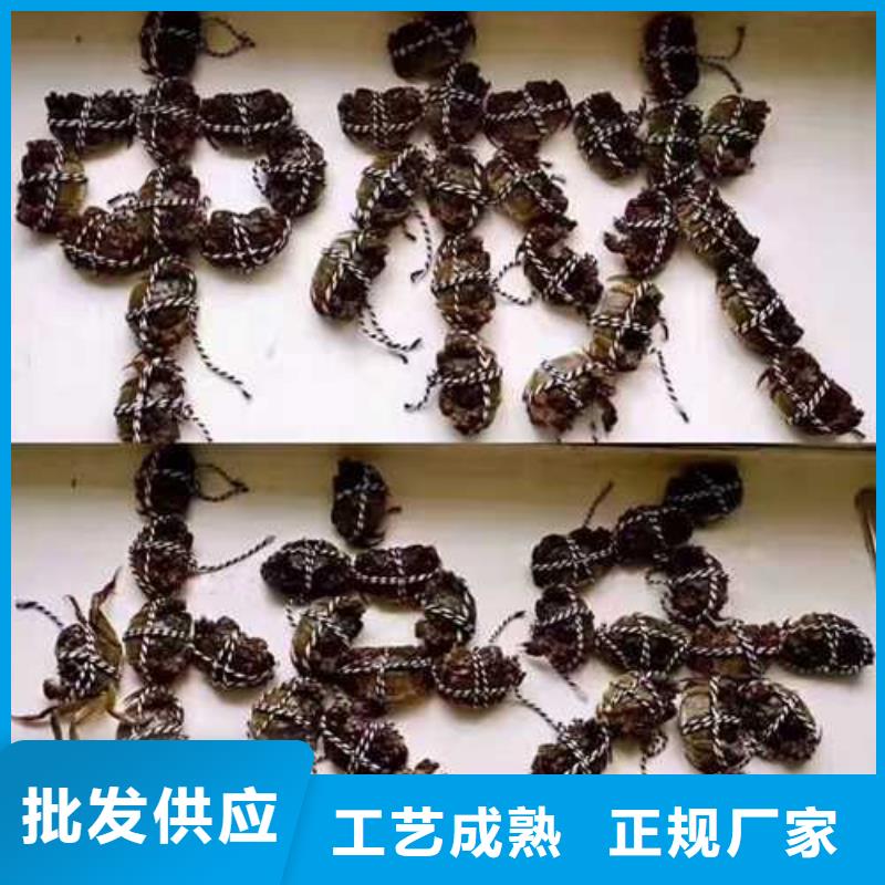 镇坪县阳澄湖大闸蟹团购