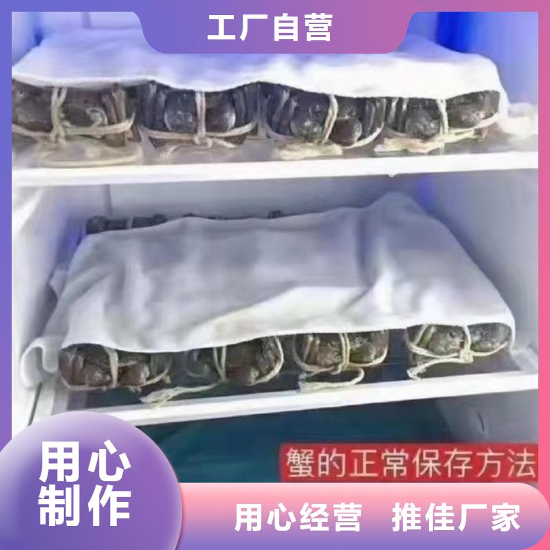 阳澄湖大闸蟹口感甘甜