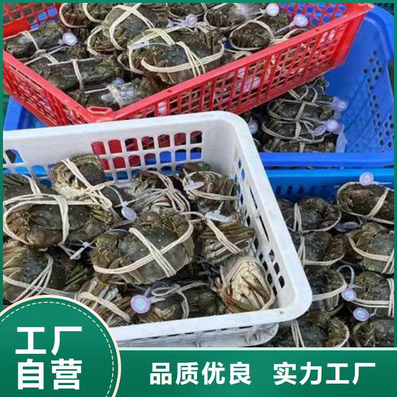 苏州阳澄湖大闸蟹哪家品质好味道好