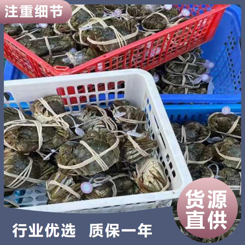 阳澄湖大闸蟹订购找大品牌