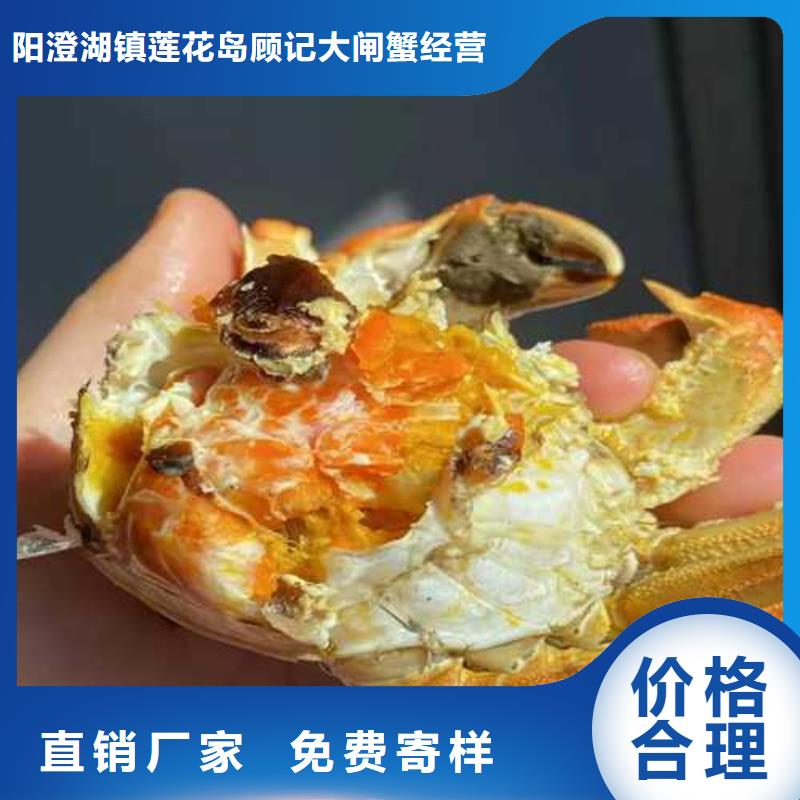 光泽阳澄湖大闸蟹奢华美味