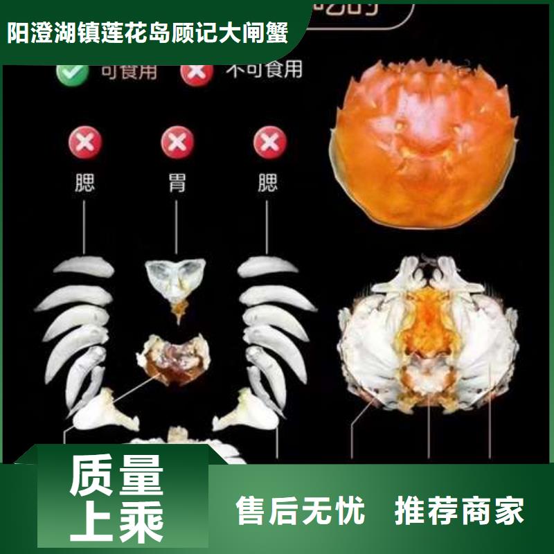 蟹,阳澄湖大闸蟹零售店快速物流发货