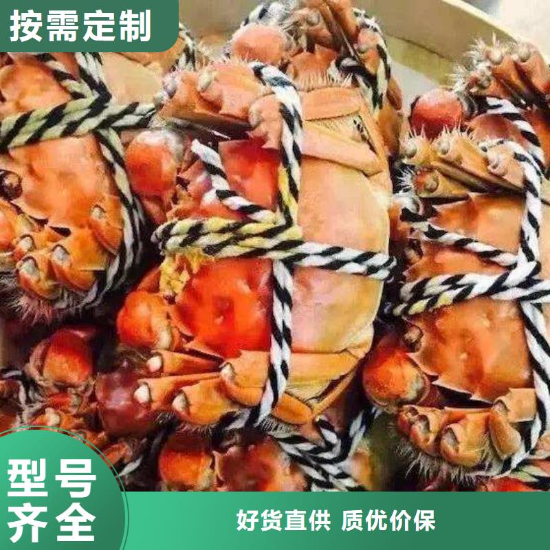 蟹阳澄湖大闸蟹几两吃标准工艺