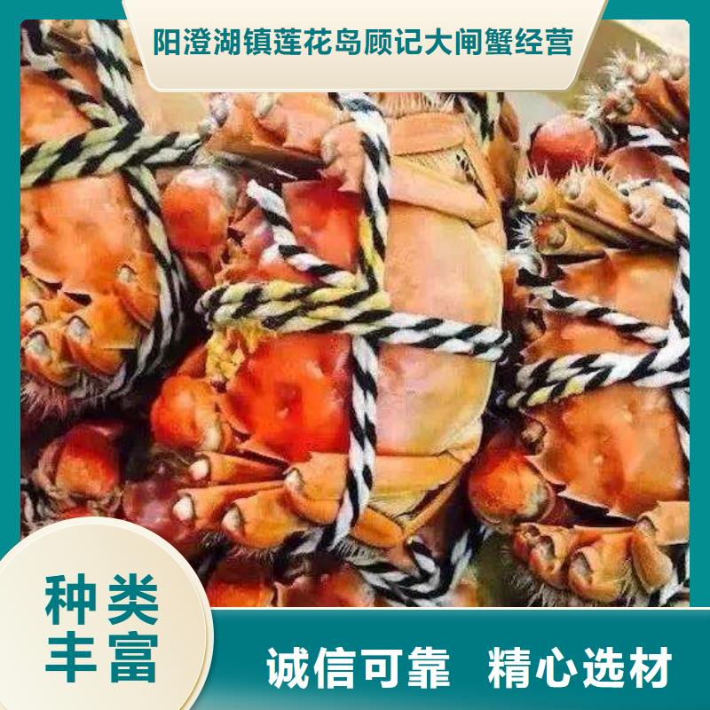 蟹阳澄湖大闸蟹零售店价格实在