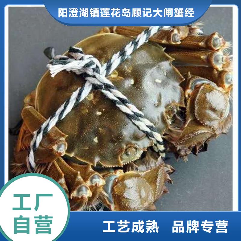 蟹,阳澄湖大闸蟹零售店实力优品
