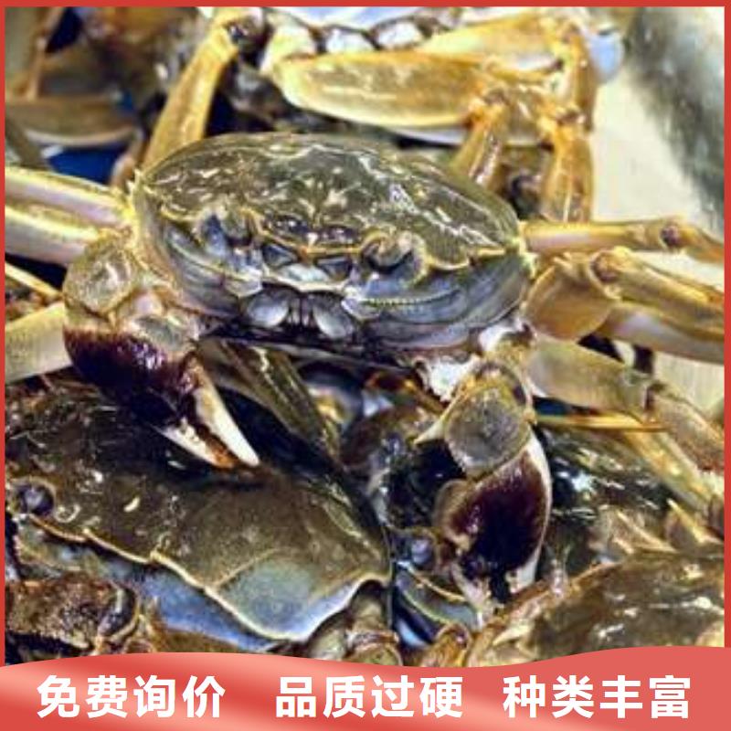 蟹阳澄湖大闸蟹中秋送礼厂家直营