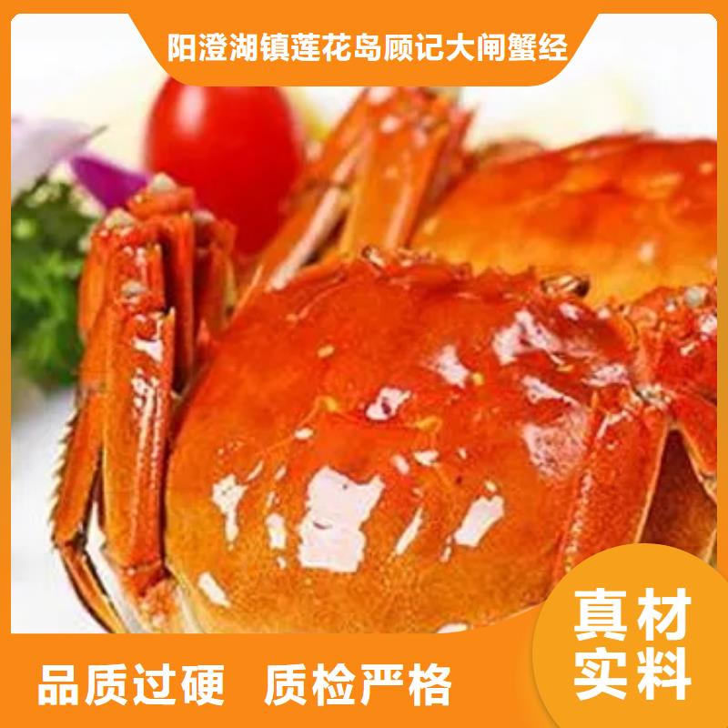 蟹阳澄湖大闸蟹直营店好货直销
