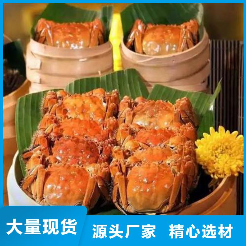 蟹阳澄湖大闸蟹网购出厂价