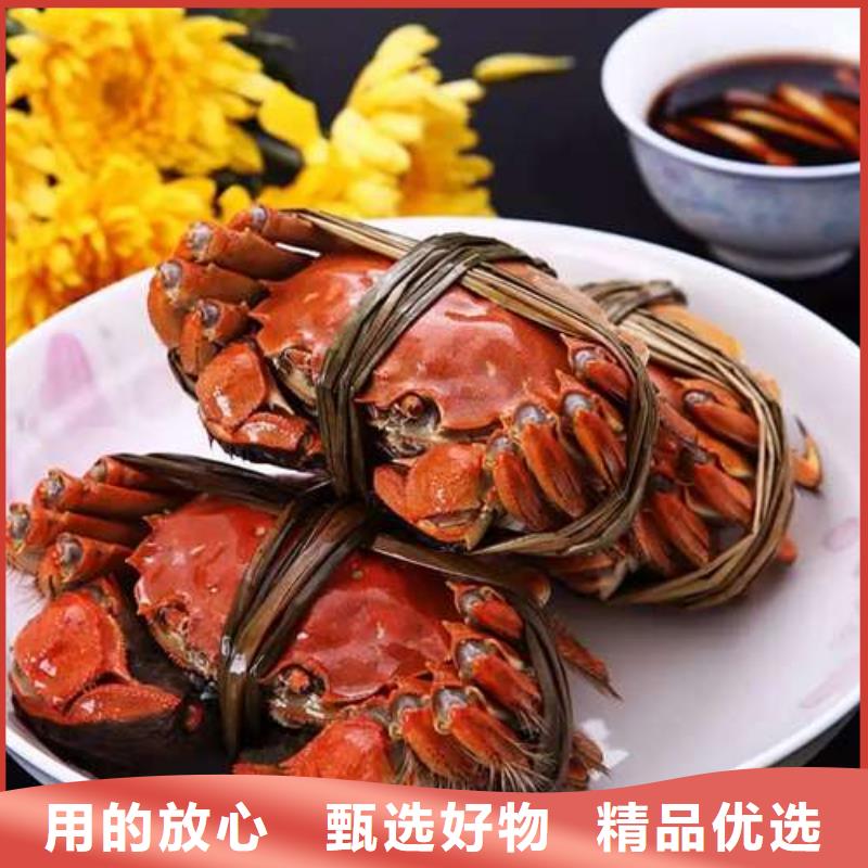 蟹阳澄湖大闸蟹多少重量实拍品质保障