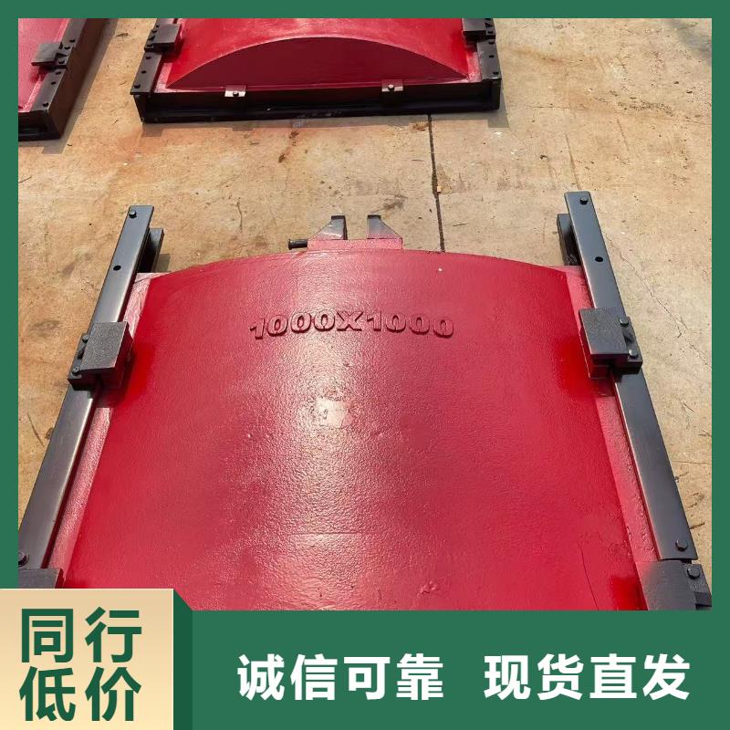 闸门启闭机-PZ双向止水铸铁镶铜闸门技术领先