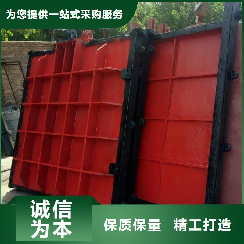 镶铜铸铁闸门-值得信赖